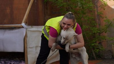 Orenburg bölgesinde, Birleşik Rusya gönüllüleri sel sırasında kurtarılan hayvanlara yardım etti