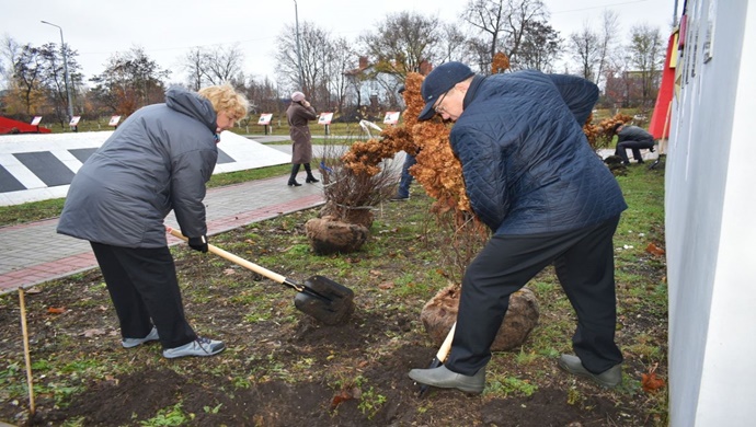Активисты «Единой России» высадили деревья у мемориалов и в парках Воронежской и Тверской областей